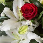 Valentines Florist Choice Aqua Pack