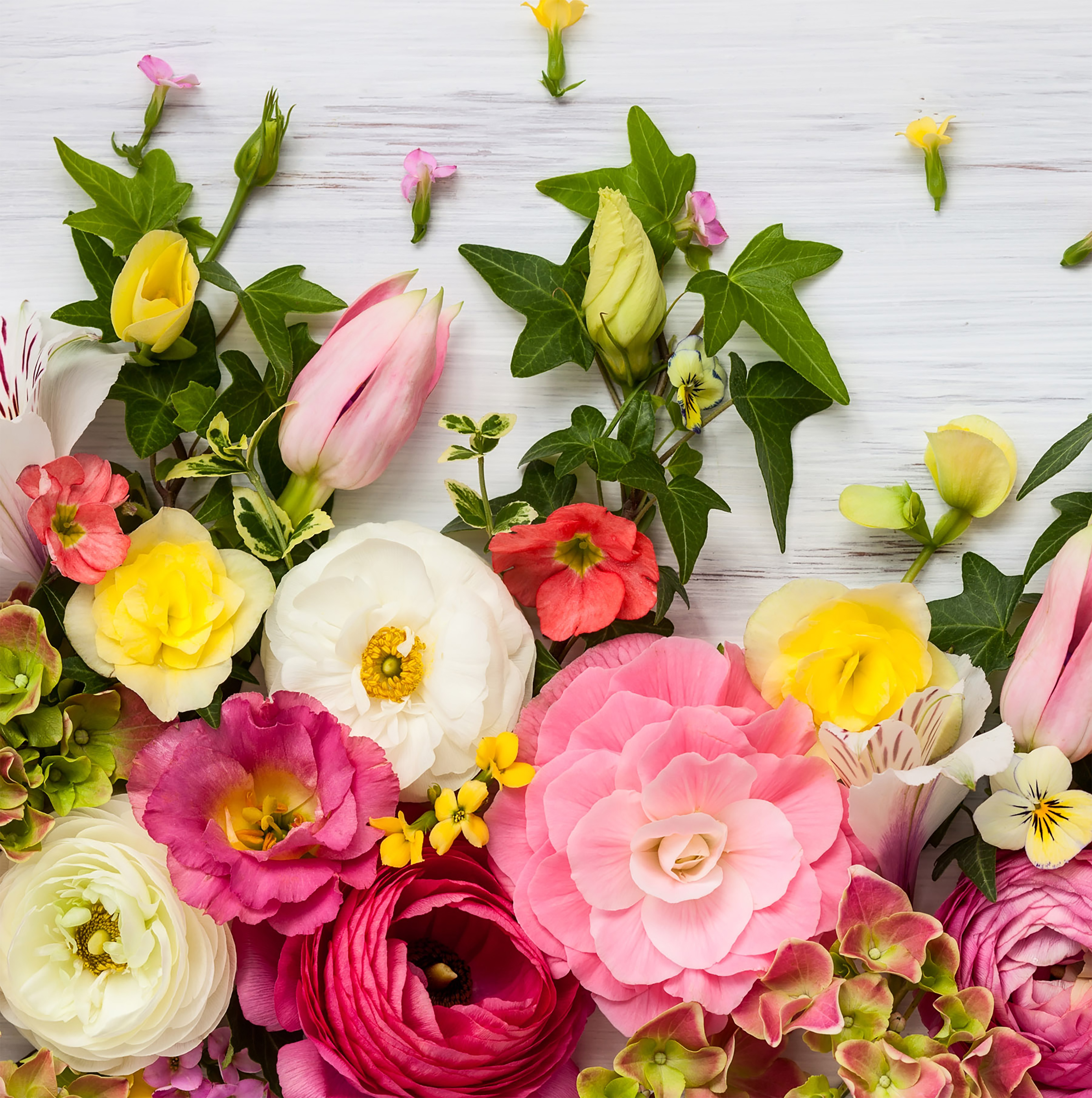 Blooming Wonderful