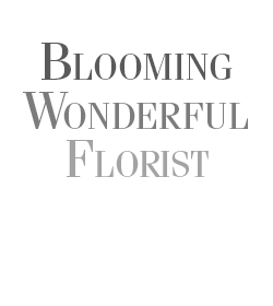 Blooming Wonderful