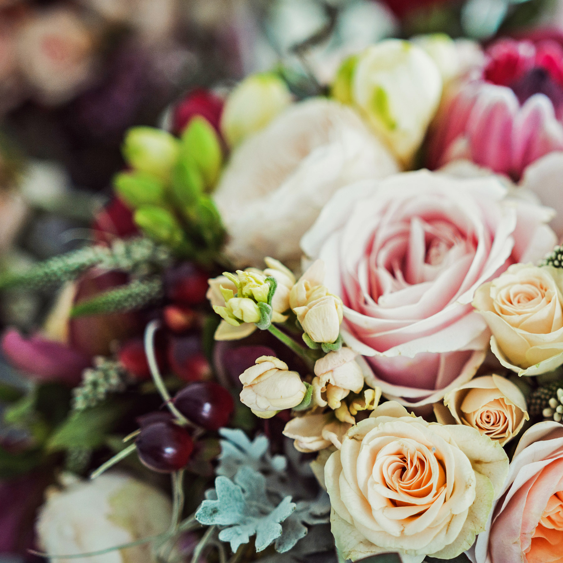 Blooming Wonderful